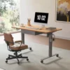 Adjustable Height Standing Desk with Drawers