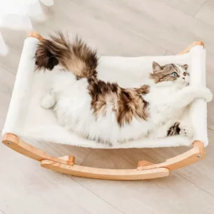 cat bed v1